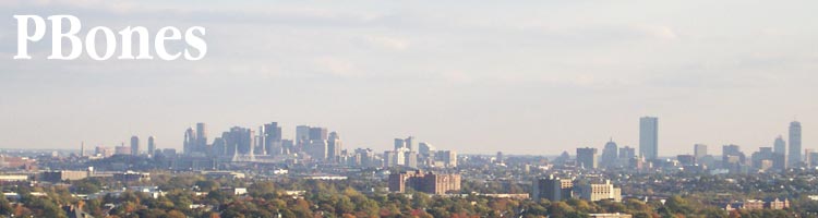 Site Header